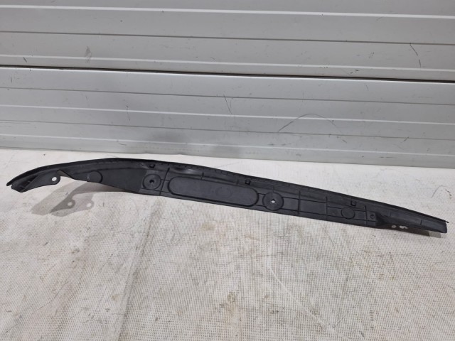 Front Weather-Strip (Left)